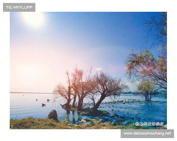 湖畔冬季景色探秘宁静与诗意交织的自然之美 湖畔冬季景色探秘宁静与诗意交织的自然之美