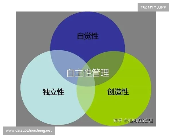 系统化探索未知领域的科学步骤与实践方法指南 系统化探索未知领域的科学步骤与实践方法指南